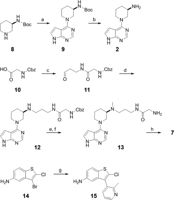 Scheme 1