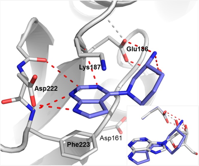 Figure 5