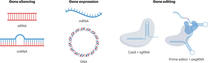 Box 2 Genetic drug mechanisms of action