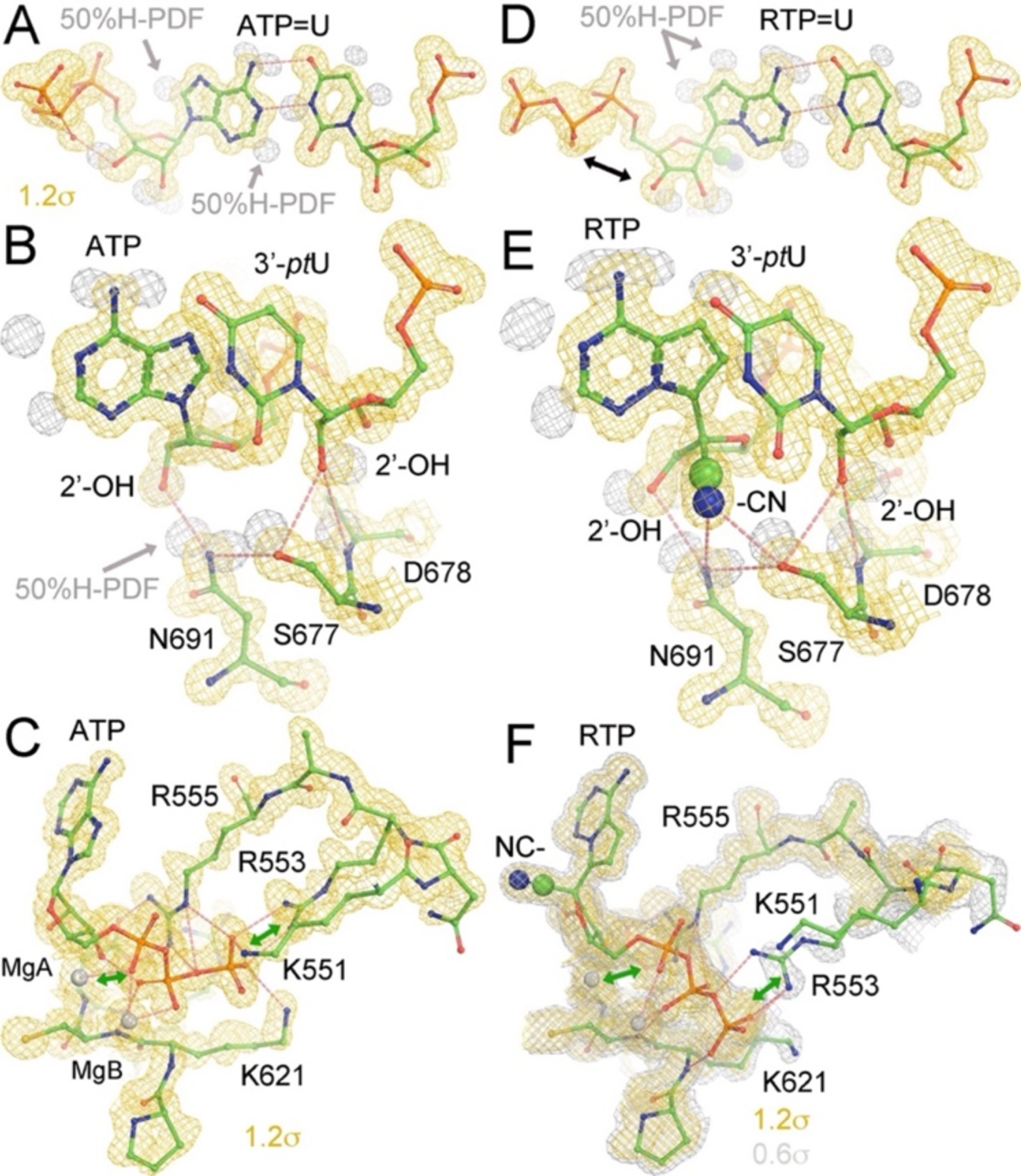 Figure 4.