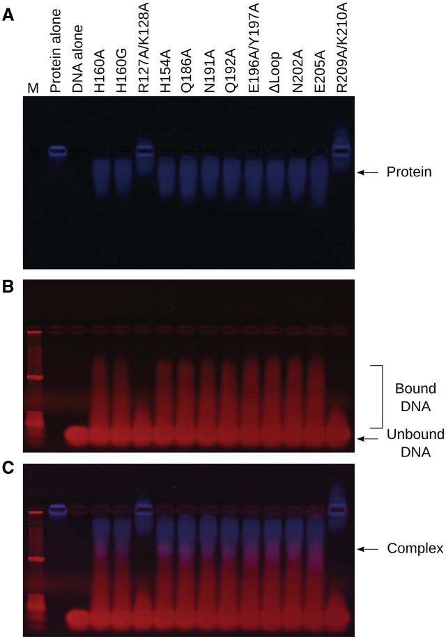 Figure 6.