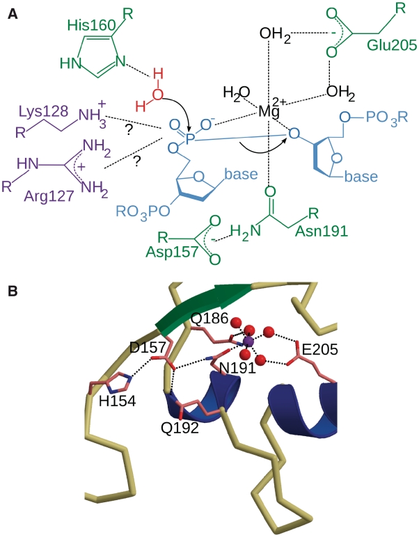 Figure 7.