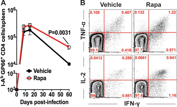 FIG 6