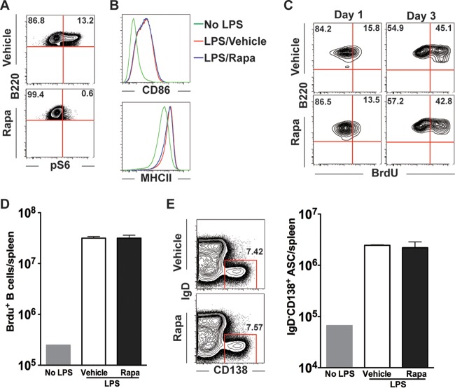 FIG 10