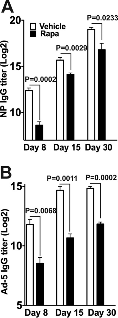 FIG 2