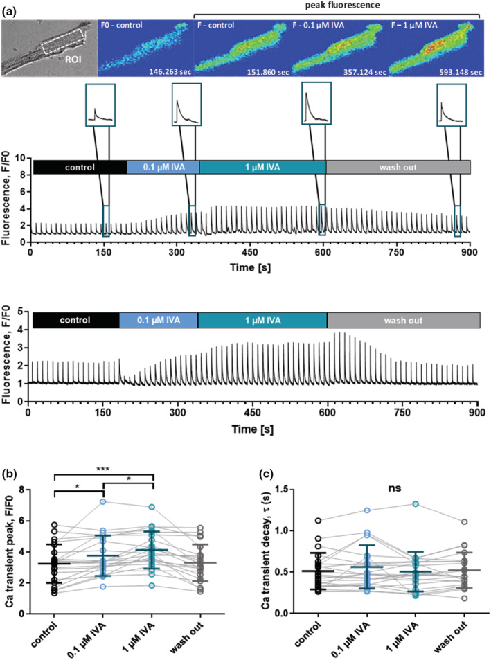 FIGURE 2