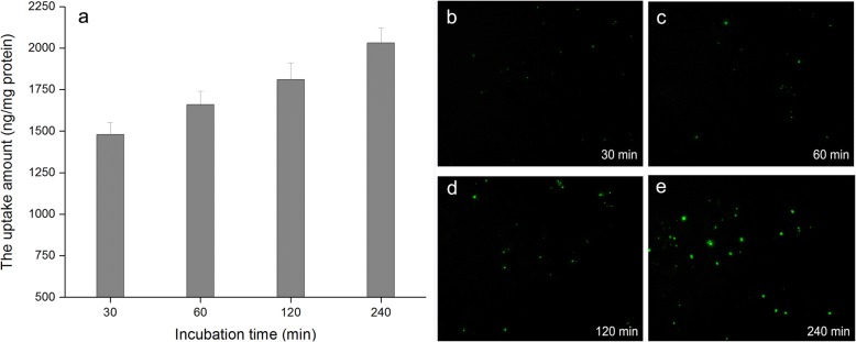 Fig. 12