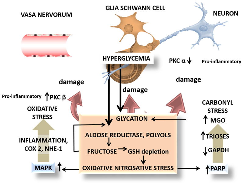 Figure 5: