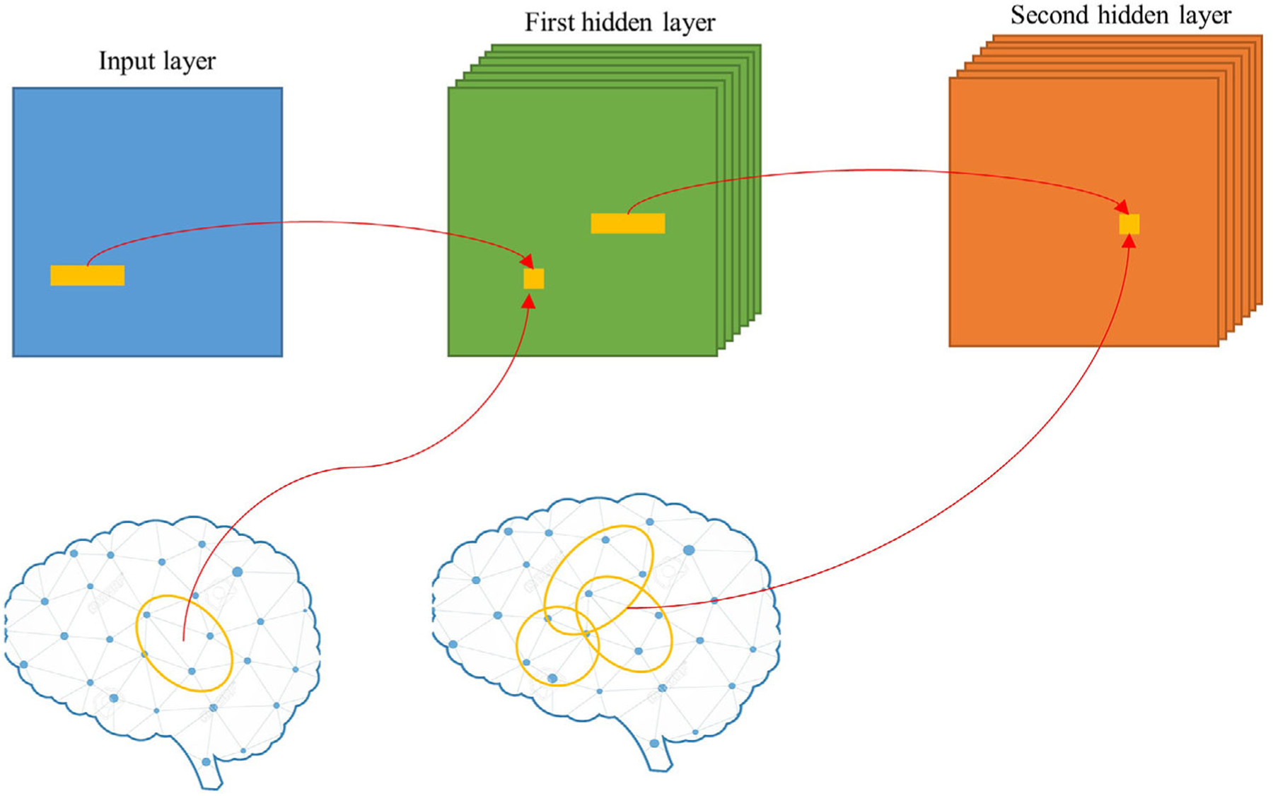 ConCeptCNN: A novel multi-filter convolutional neural network for the ...