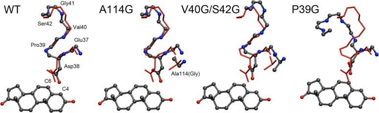 Figure 5