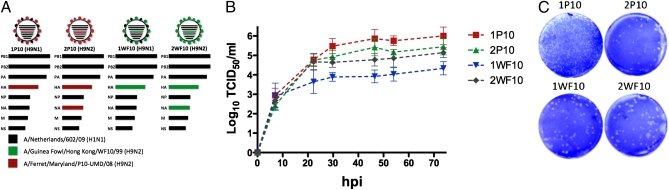 Fig. 1.