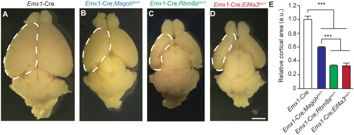 Fig 3