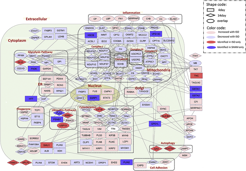 Figure 4: