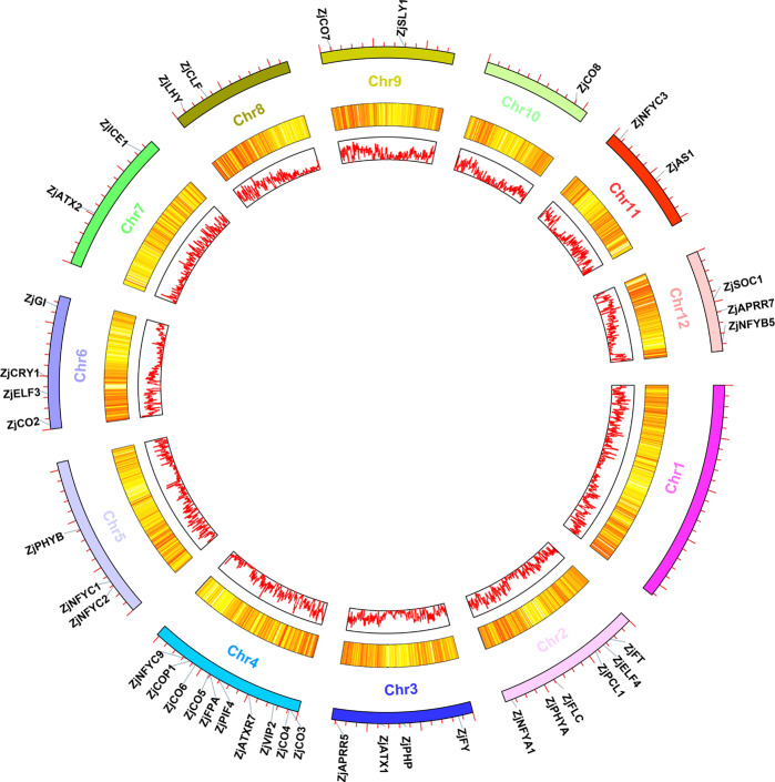 Fig. 2