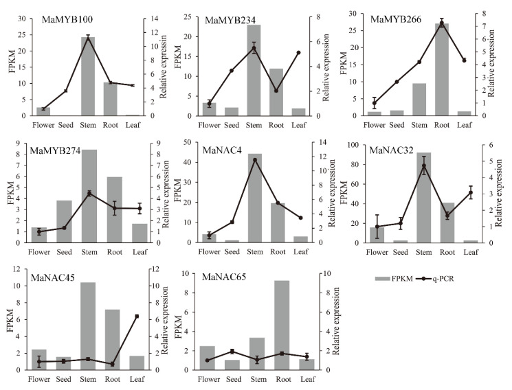 Figure 10