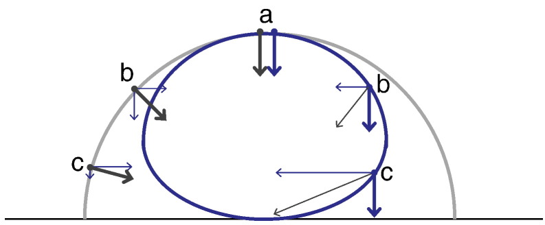 Fig. 2