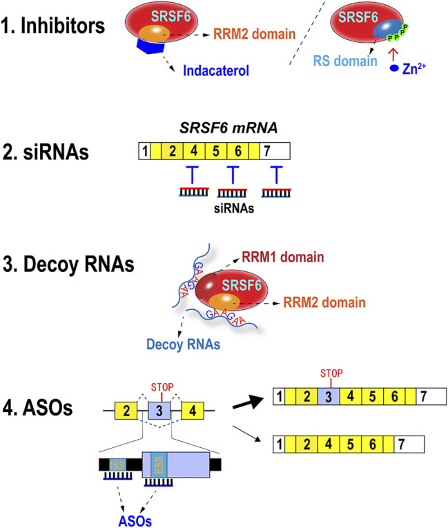 FIGURE 4