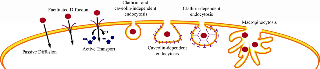 Figure 13