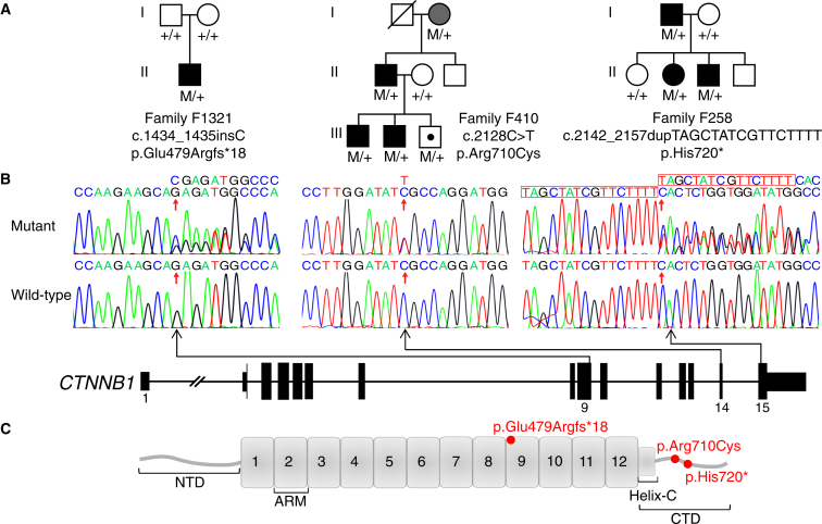 Figure 2