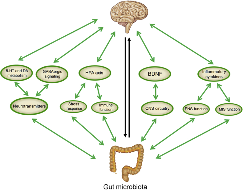 Figure 1