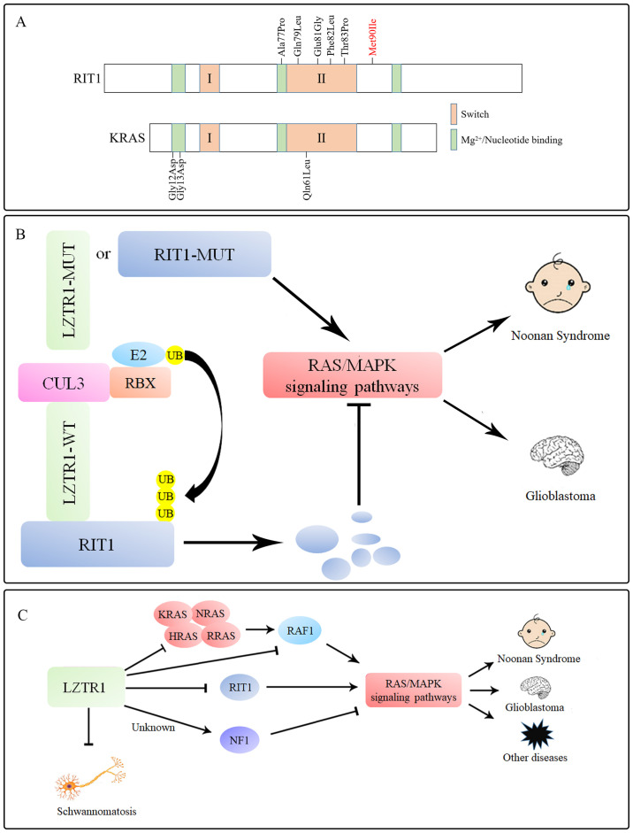 Figure 2.