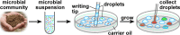 FIG 1