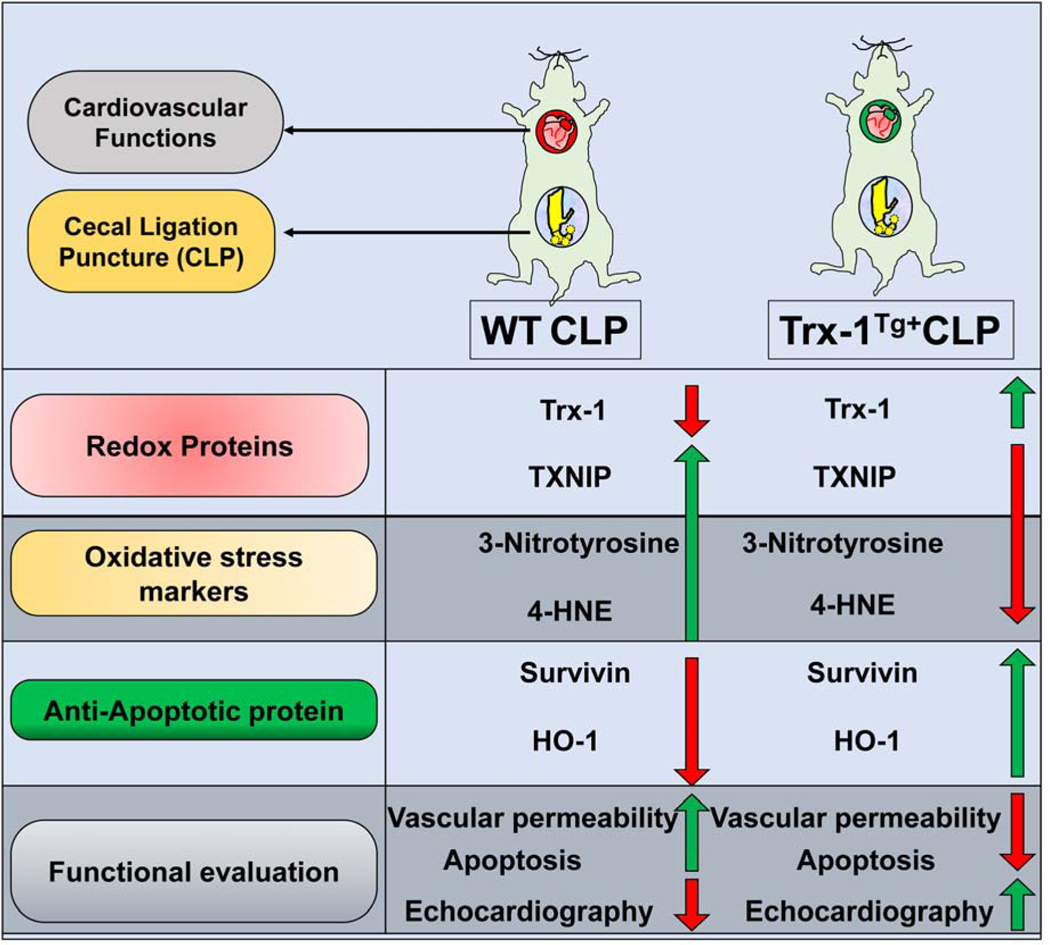 Figure 10.