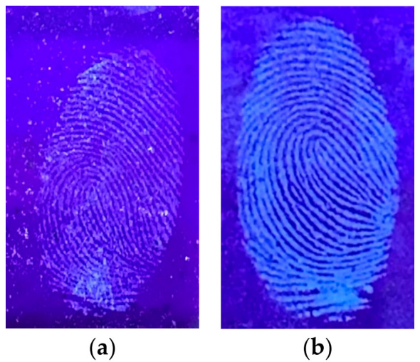 Figure 12