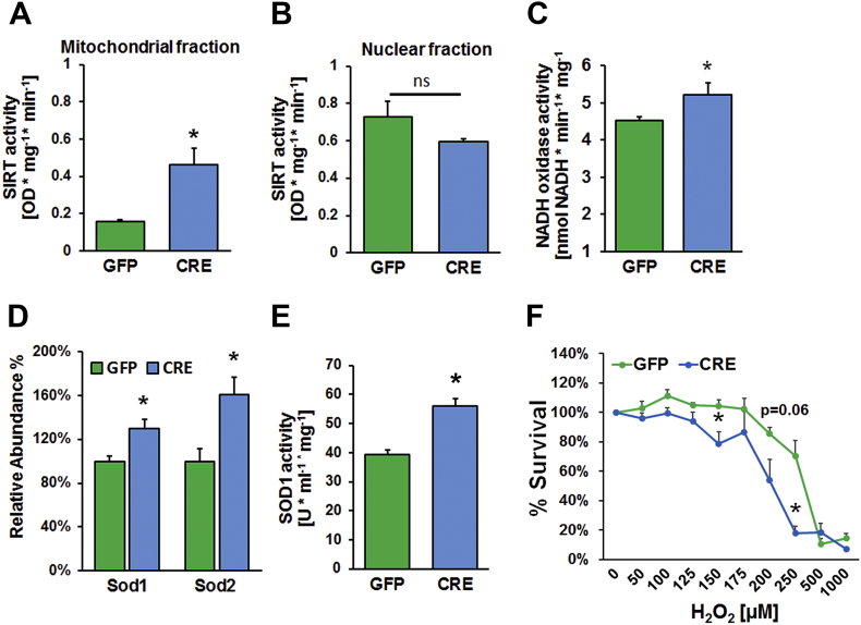 Figure 6