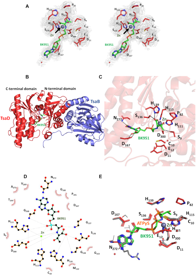 Figure 6.