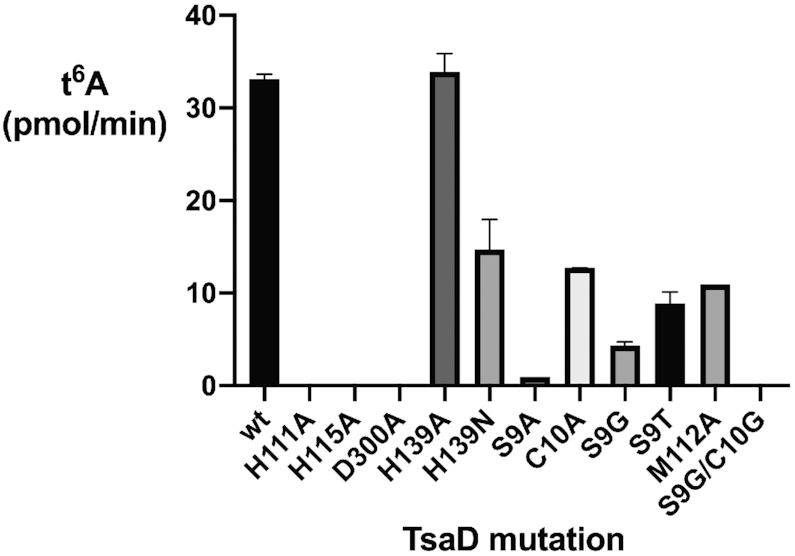 Figure 7.