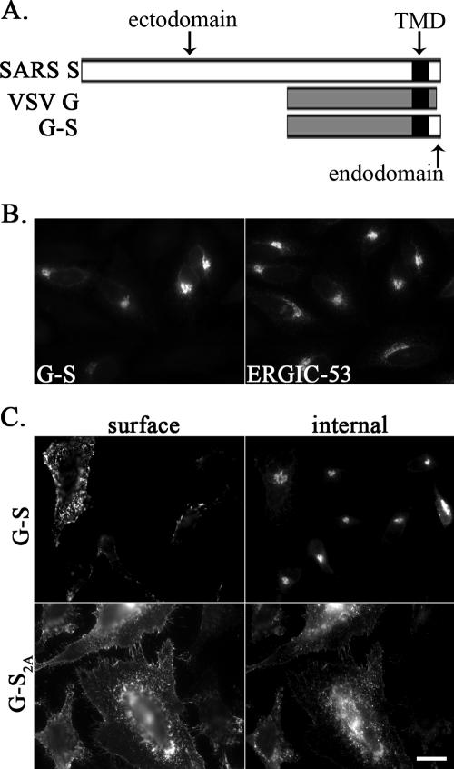 FIG. 5.