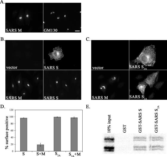 FIG. 8.