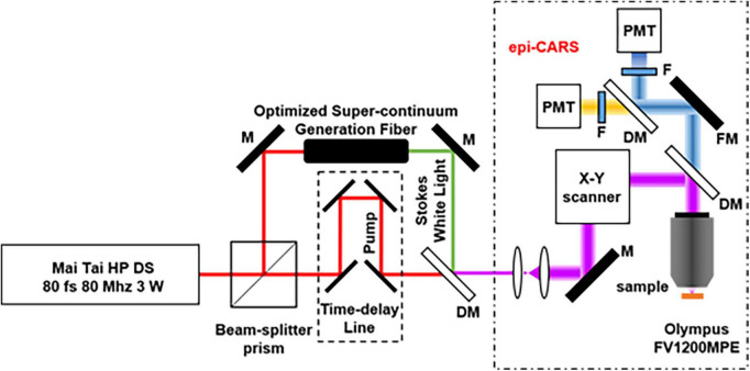 FIGURE 3