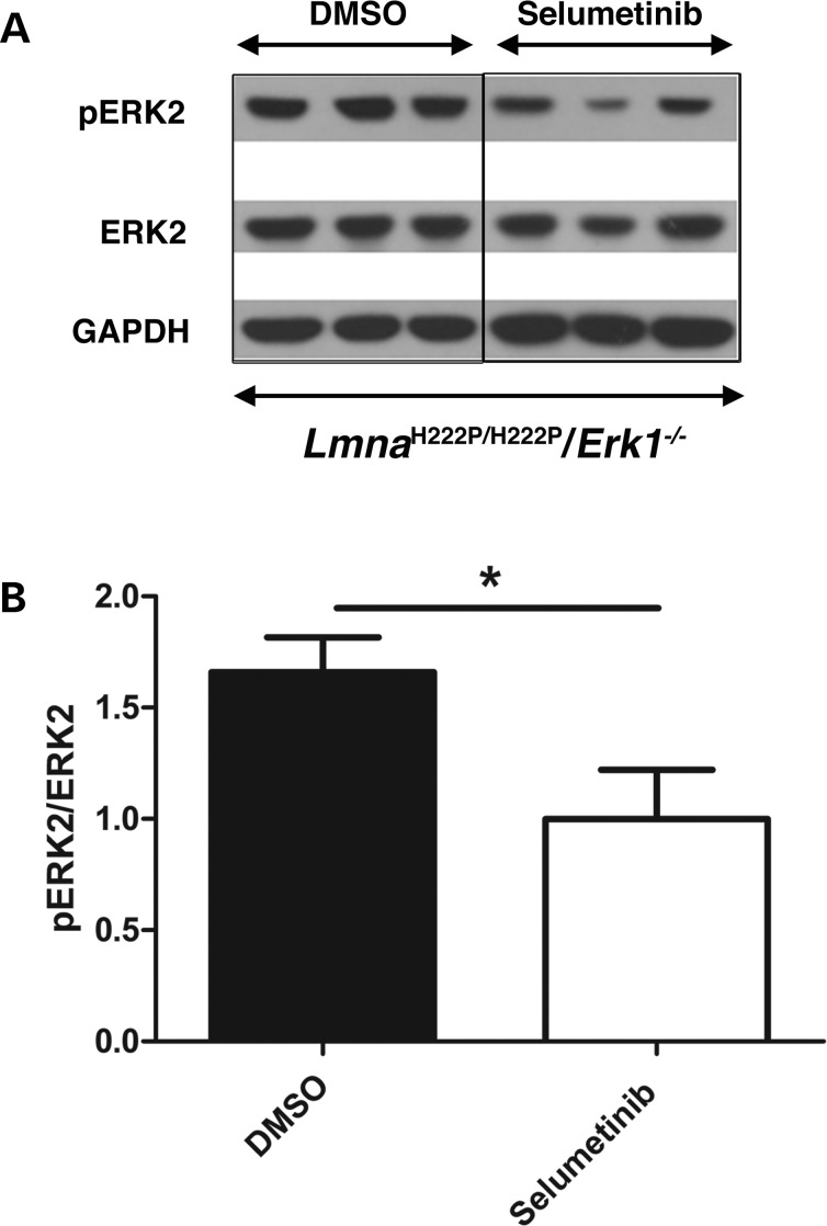 Figure 6.