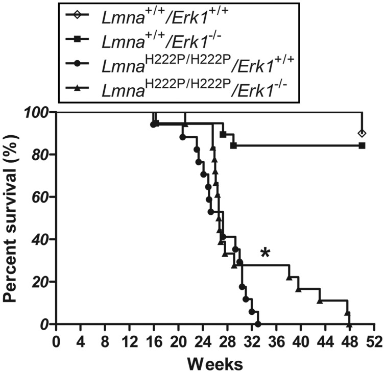 Figure 3.