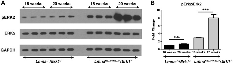 Figure 5.