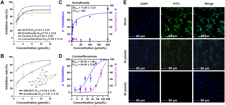 Figure 2