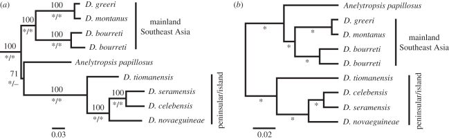 Figure 1.