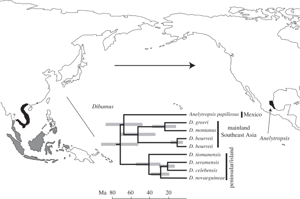 Figure 2.