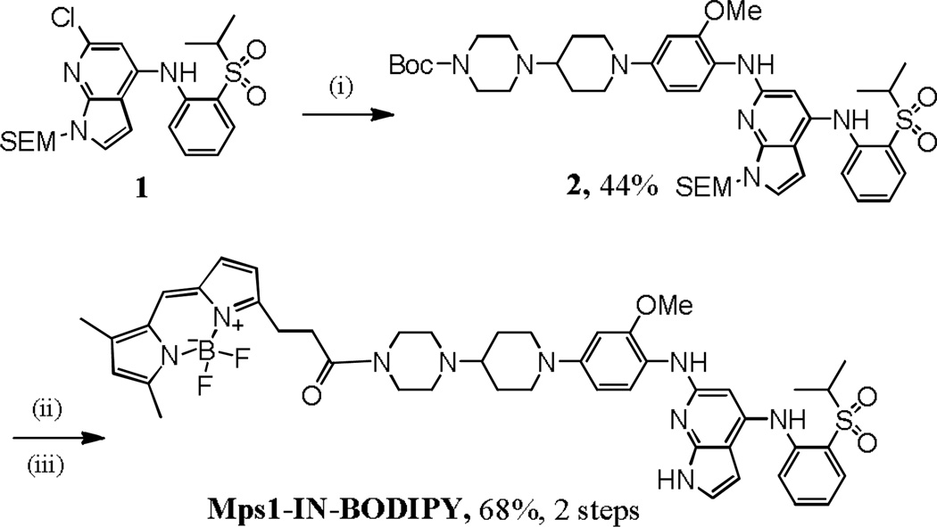 Scheme 1