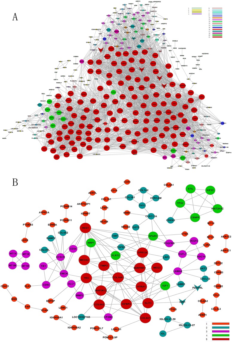 Fig 6