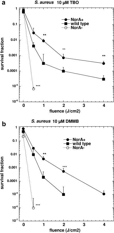 FIG. 5.