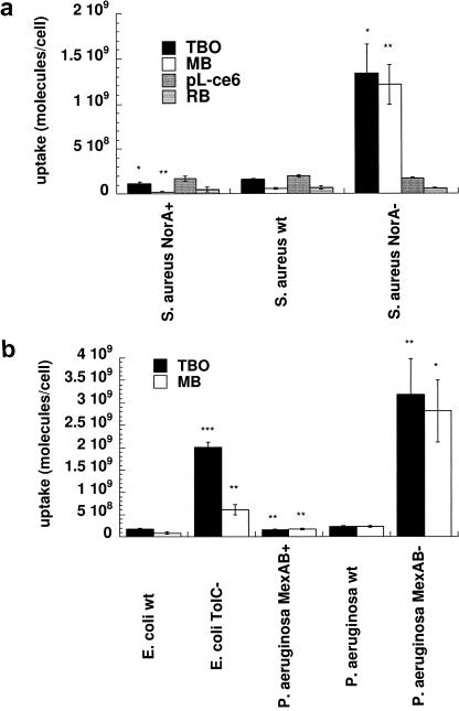 FIG. 7.