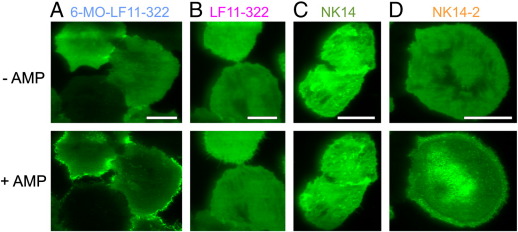 Fig. 10