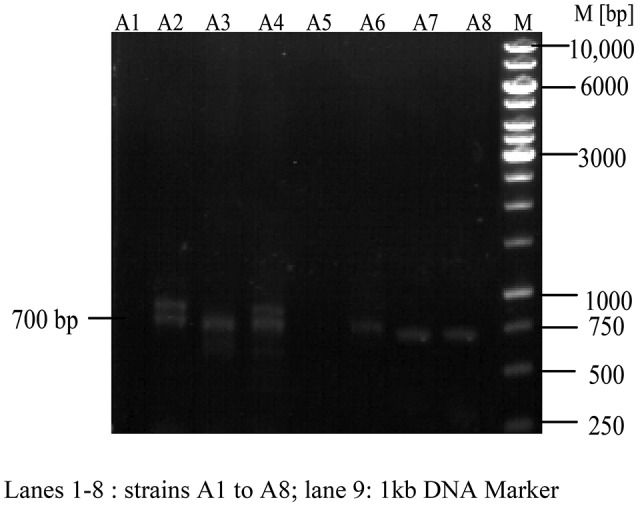 Figure 10