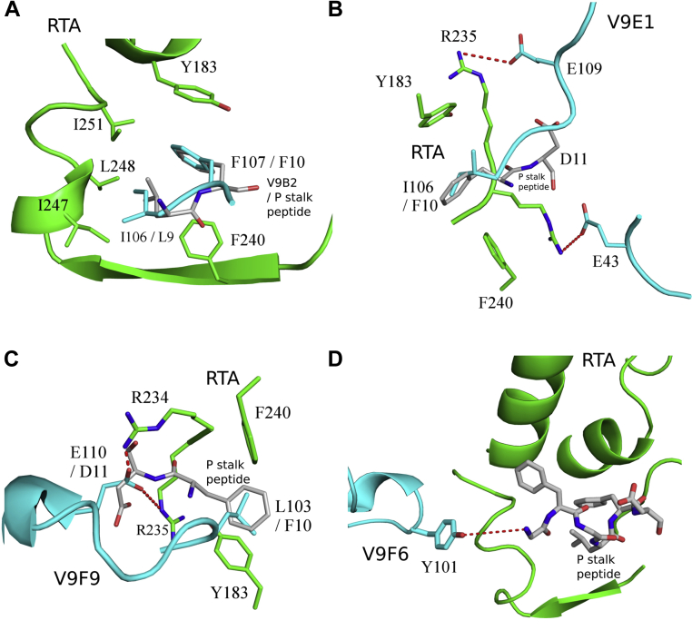 Figure 4