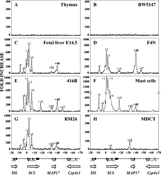 FIG. 2.