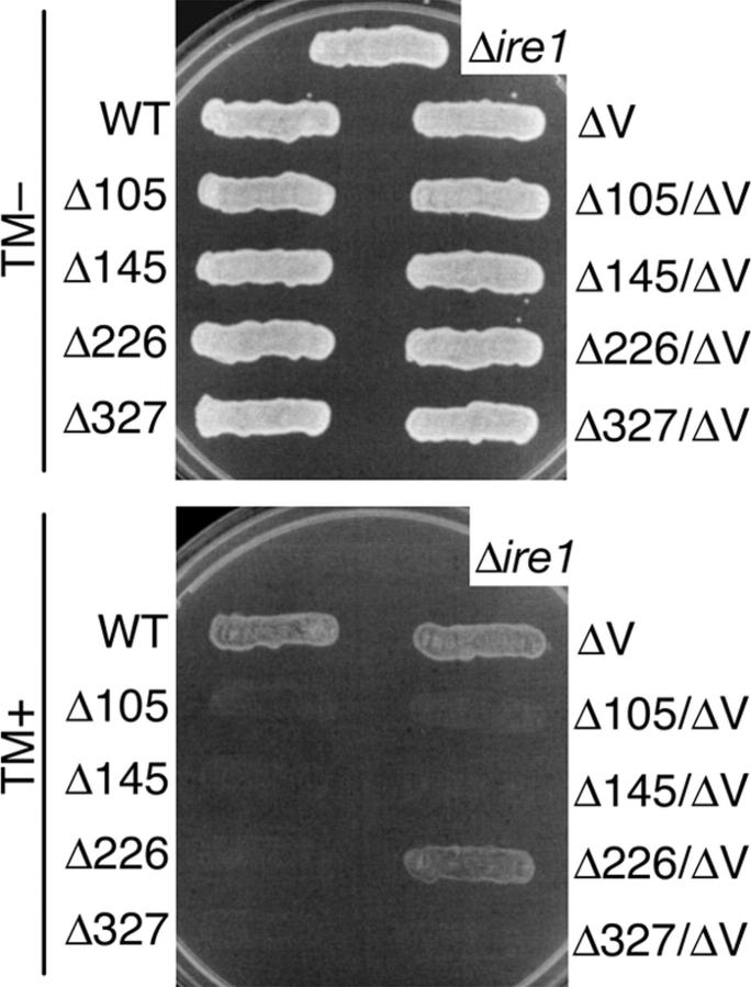 Figure 6.