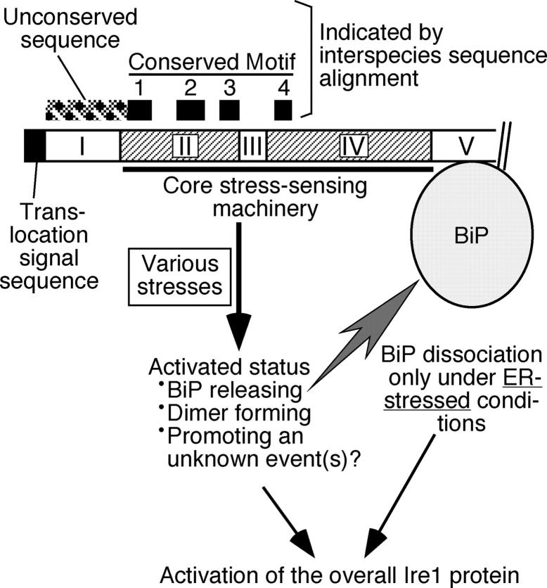 Figure 9.